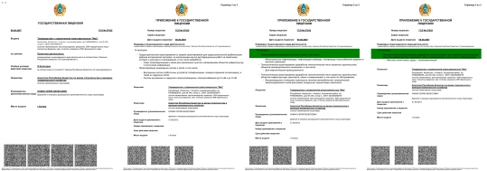 Лицензия на проектно - изыскательные работы на русском языке